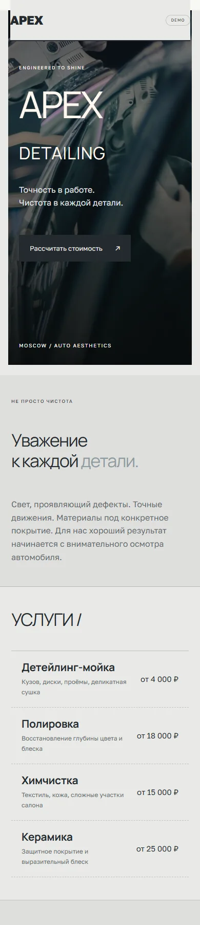 Реальное превью сайта APEX