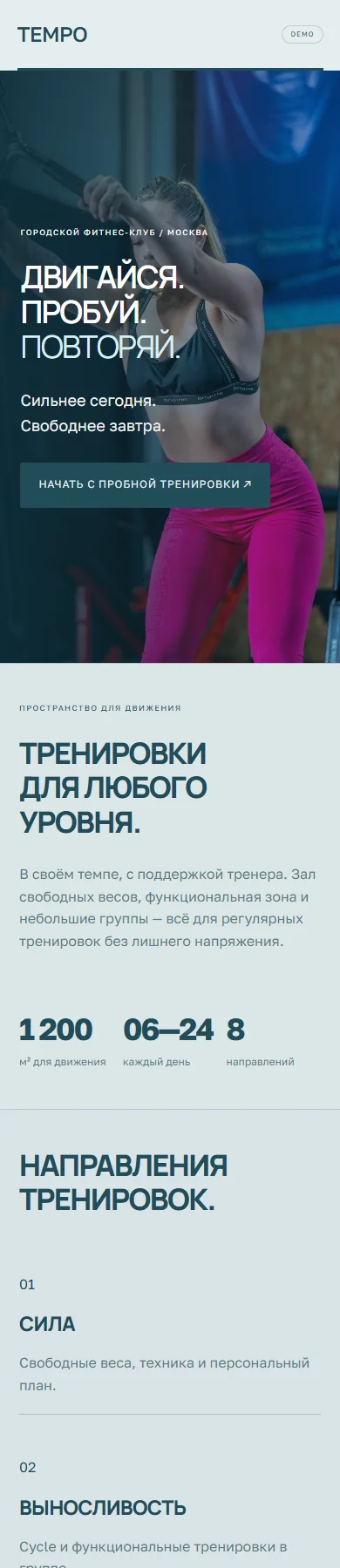 Реальное превью сайта TEMPO