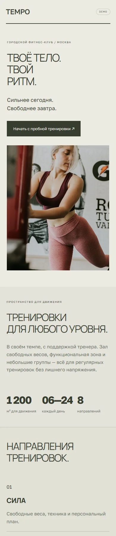 Реальное превью сайта TEMPO